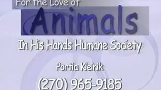 For the Love of Animals - Spay and Neuter your pets