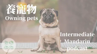 聊寵物：台灣人小時候都養過XXX Taiwanese all had XXX as pets | Learn Taiwanese Mandarin Podcast (Intermediate)