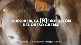 Quescrem Video D'entreprise (FR)