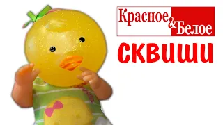 ЛУЧШИЕ СКВИШИ в истории КБ! Не мини, а макси сквиш Моти Моти