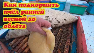 КАК ПОДКОРМИТЬ ПЧЁЛ РАННЕЙ ВЕСНОЙ ДО ОБЛЁТА ПЧЁЛ, КАК МЫ ДЕЛАЕМ