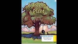 A Tree is a Plant Journeys 1st Grade Lesson 24