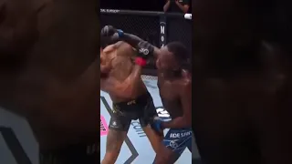 адесанья перейра 2 ufc287 #shorts