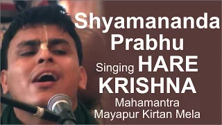Shyamananda Prabhu Singing Hare Krishna Mahamantra Mayapur Kirtan Mela 2015 Day 3 | ISKCON