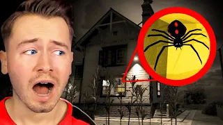 Eine RIESEN SPINNE ist in meinem HAUS.. (HILFE)