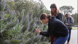 City Nature Challenge 2024 | California Academy of Sciences