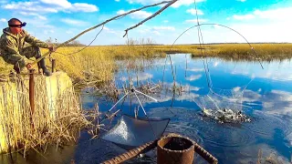 Я ЕЛЕ ДОСТАЛ ПАУК ИЗ ВОДЫ, ДУМАЛ ПОРВЁТСЯ! ТОННЫ РЫБЫ В ЗАВОДЯХ КАМЫША. Рыбалка на паук