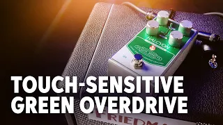 Origin Effects Halcyon Green Overdrive Pedal Demo