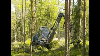 ROTTNE H8: Marknadsledande skördaren för beståndsgående gallring