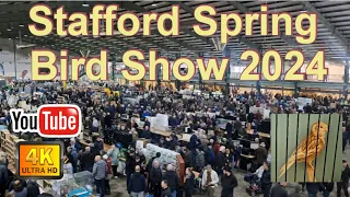Stafford Spring Bird Show 2024 Vlog! What Did I Buy? Let's Have A Look Around