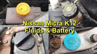 Engine Fluids and Battery Change - Nissan Micra K12