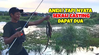 MANCING LIAR DI SARANGNYA IKAN GABUS