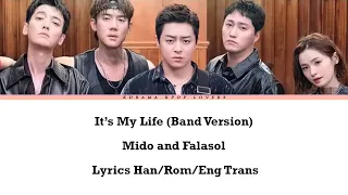 It's My Life - Mido and Falasol - Band Version (Hospital Playlist Season 2 OST) with Lyrics