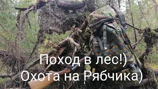 Архангельская область,Охота на Рябчика, Утренний поход в лес