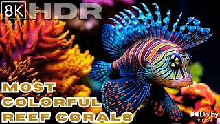 8K ULTRA HDR  - MOST BEAUTIFUL CORAL REEFS IN THE WORLD - DOLBY VISION
