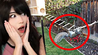 Emiru Reacts to Backyard Squirrel Maze 1.0- Ninja Warrior Course by Mark Rober