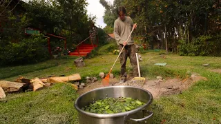 The Magic Huachuma Cactus 🌵 (How to Prepare it and Its Psychedelic History) | San Pedro