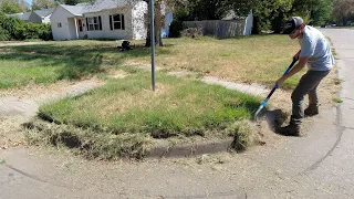 I FOUND this OVERGROWN SIDEWALK and PAID the Homeowner $100 to Uncover It