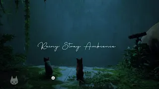 Rainy Stray Ambience - listen whilst you study or game