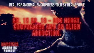 Sn. 15 Ep. 18 - DOG GHOST, CHUPACABRA AND AN ALIEN ABDUCTION. TRUE PARANORMAL STORIES.