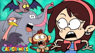 Animals Escape From the Zoo! | "Zoo-mergency!" 5 Minute Episode | The Casagrandes