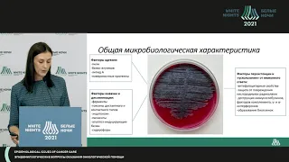 P.aeruginosa. Особенности госпитальных штаммов онкологического стационара (Брюзгерова И.А.)