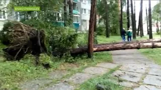 Посёлок Черёмушки накануне пережил настоящий ураган