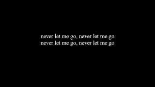 Florence + The Machine - Never Let Me Go LYRICS