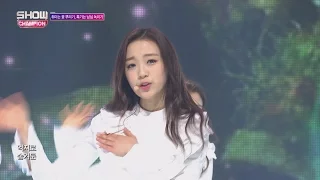 Show Champion EP.217 APRIL - April Story