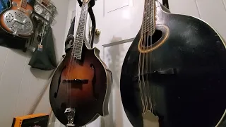 playing mandolins with a mandolin
