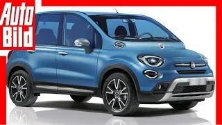 Zukunftsaussicht: Fiat Multipla (2020) Rückkehr des umstrittenen Kult-Vans