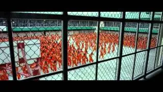 Samsara 2011 - Jail