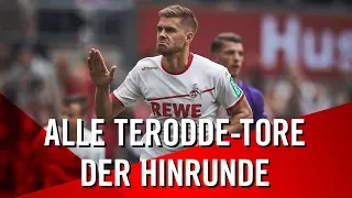 Alle TERODDE-TORE der Hinrunde 2018/19 | 1. FC Köln | Simon Terodde