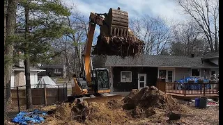 Massive Tree Stump Removal By Excavator