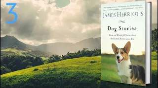 Part 3 of 3  “Dog Stories” Audiobook by James Herriot