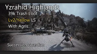 Black Desert Online | Guardian Succession Yzrahid Highlands 39k tl [Lv2 LS Agris]