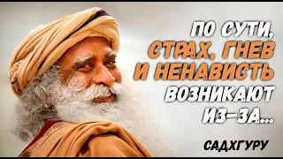 Мудрые советы и цитаты от Садхгуру