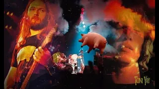 Pink Floyd ❀ Live At Boston Garden ☆1977☆