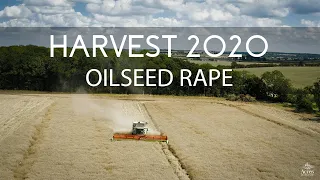 Harvest 2020 - Oilseed Rape - CLAAS Lexion 780 Combine - Fabulous Aerial Video Compilation.