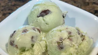 Homemade Mint Chocolate Chip Ice Cream