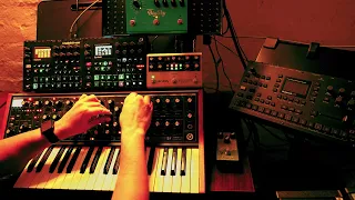 Moog Subsequent 37, Elektron Digitakt, Syntakt, Strymon BigSky, Volante