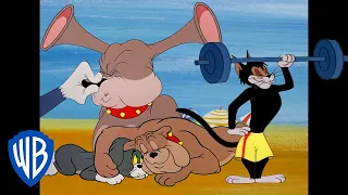 Tom & Jerry in italiano 🇮🇹 | Gatti VS Cani | @WBKidsItaliano​