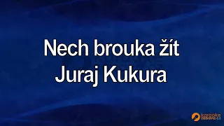 FullHD karaoke Nech brouka žít - Juraj Kukura - ukázka