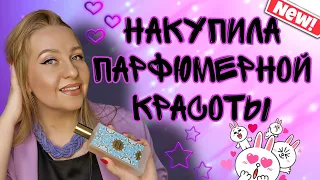 Шесть новых парфюмов в коллекции,я в восторге! 💜