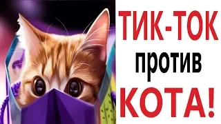 Лютые приколы. ЛАЙФХАКИ ИЗ ТИК-ТОКА ТРОЛЛИТ КОТ!!! Самое смешное видео! РЖАКА ДО слёз! – Domi Show!