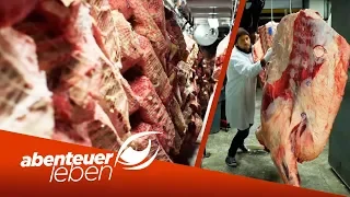 Größter Fleischmarkt der Welt: Hunts Point Cooperative Market | Abenteuer Leben | kabel eins