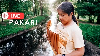 PAKARI- MOMENT OF JOY WITH BEAUTIFUL ANDEAN MELODIES