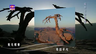 诺言_那些年我们的歌 (Official Video)