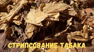 Стрипсование табака (удаление центральной жилки)