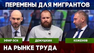 ЧТО ЖДЕТ МИГРАНТОВ НА РЫНКЕ ТРУДА | Вадим Коженов в эфире ОСН